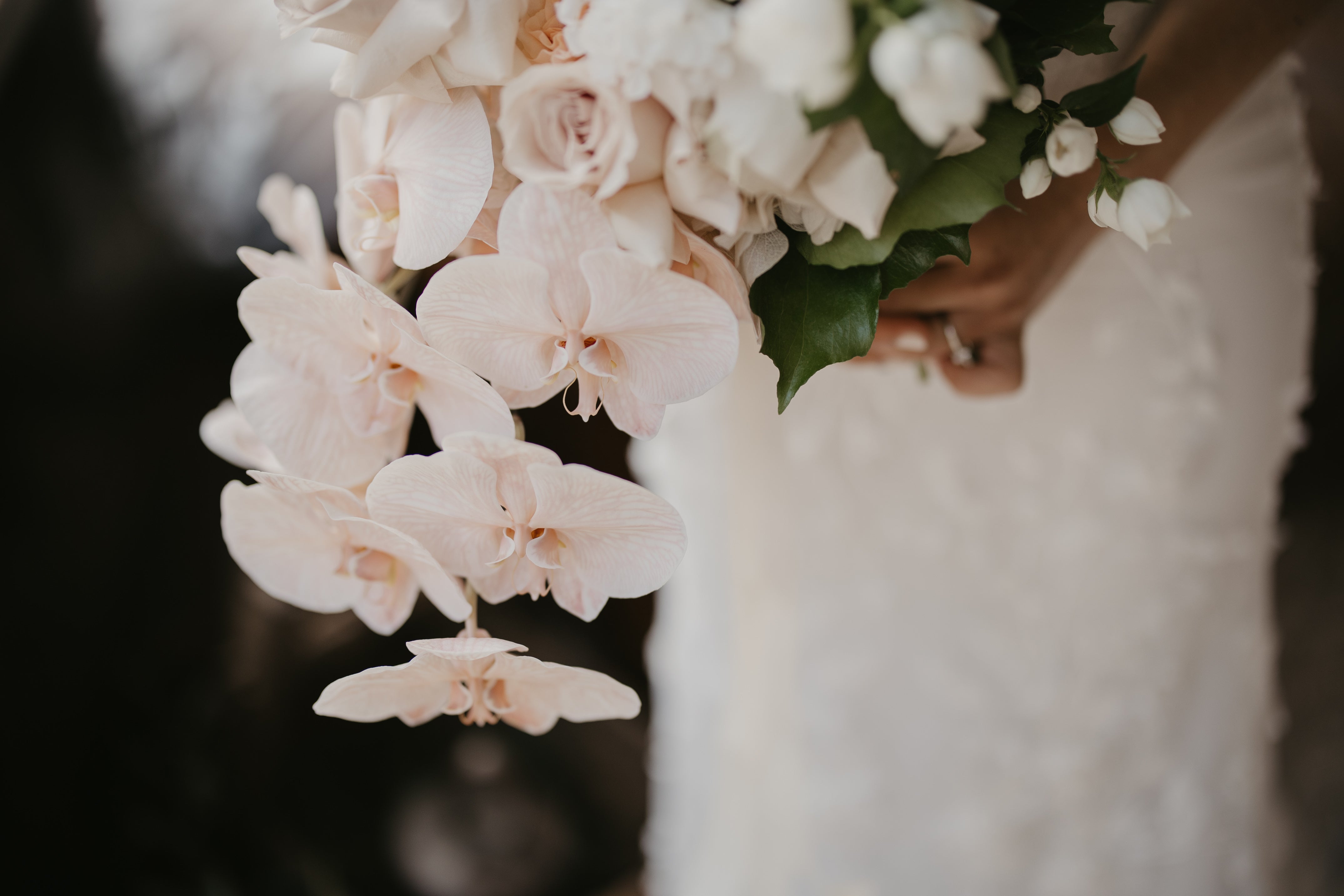 Wedding Earrings